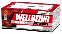 MC127, WELLBEING, 0,8"/120 залпов